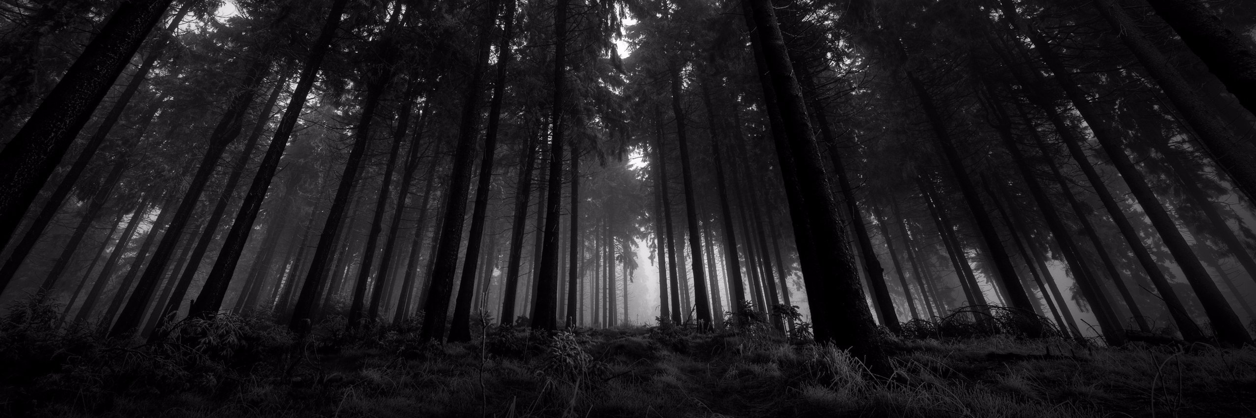 TheScrewologist's profile banner image
