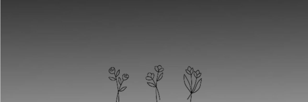 Suliman banner
