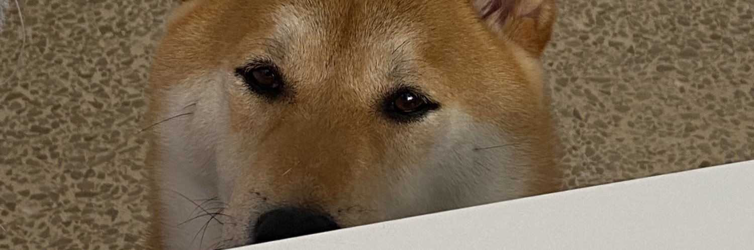 Kemierdas banner