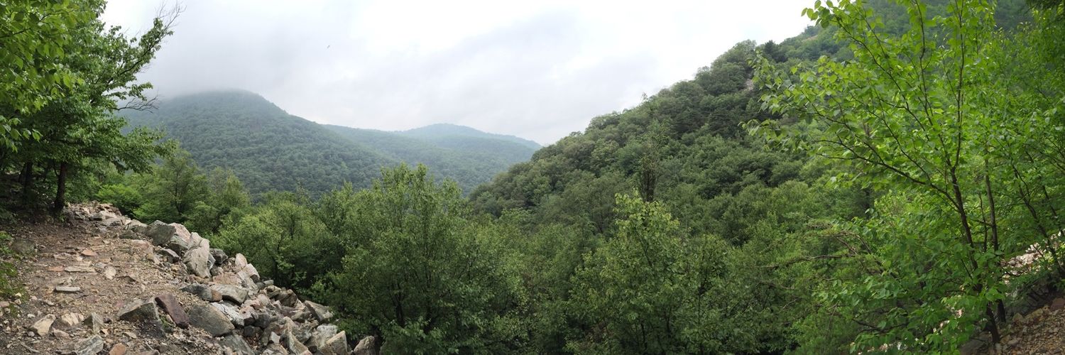 kristenkratzer's profile banner image