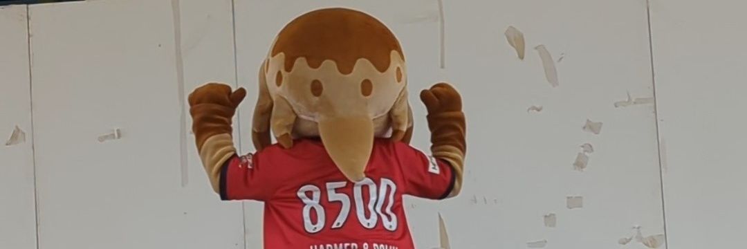 ふっちー🦕 banner