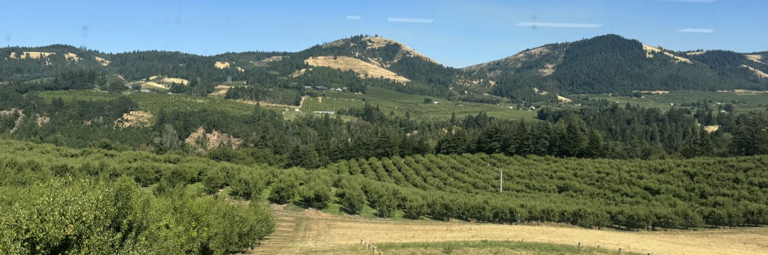 Surendra Dara banner