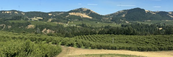 calveggies Profile Banner