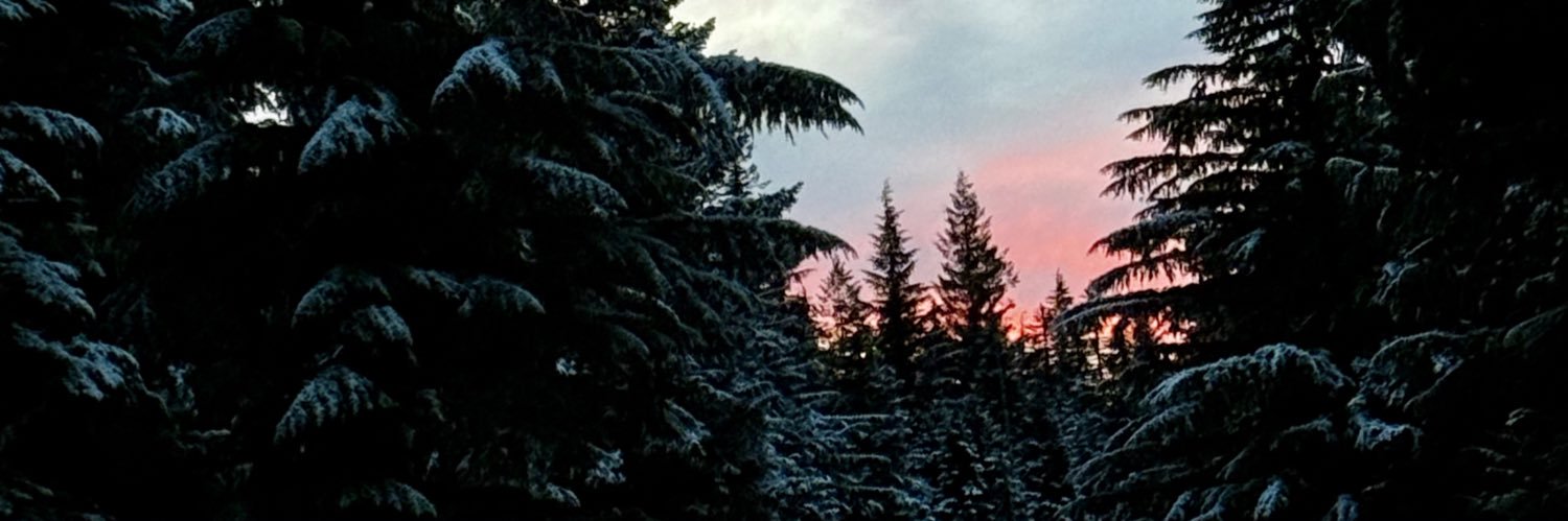 natgcorrea_'s profile banner image