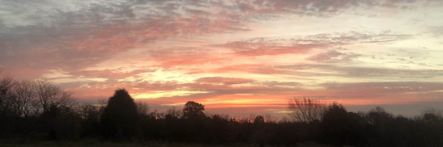 GunnyTrain's profile banner image