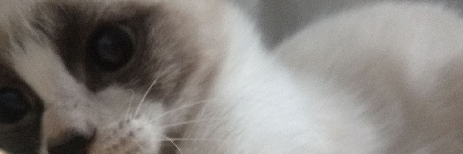 Cora banner