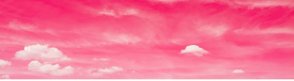 dimitrygonchar1's profile banner image
