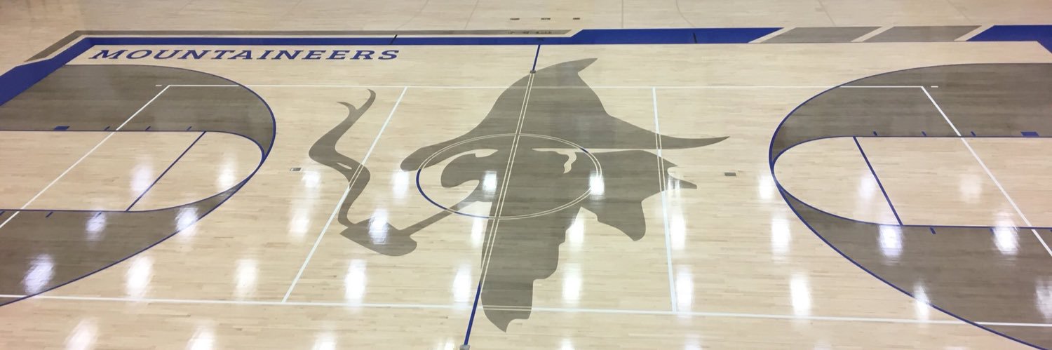 Lady Mountie Basketball banner