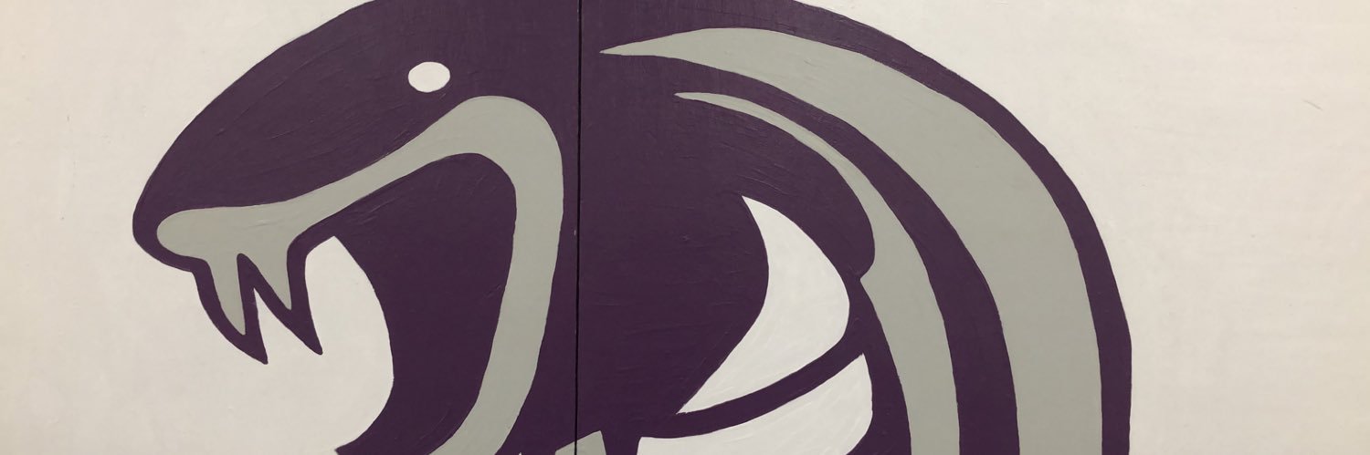 CobracoachDA's profile banner image