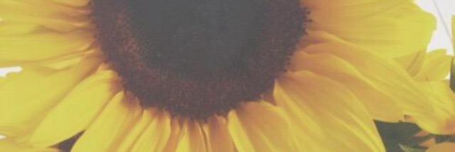 Emma_Slade's profile banner image