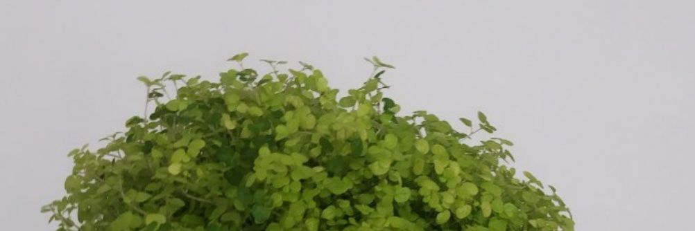 la_rakroft's profile banner image
