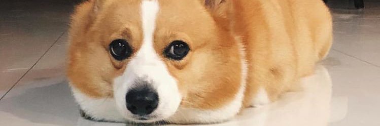 Юля Кастрюля banner