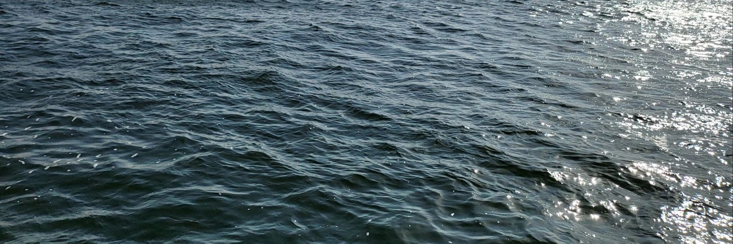 Basmabentossama's profile banner image