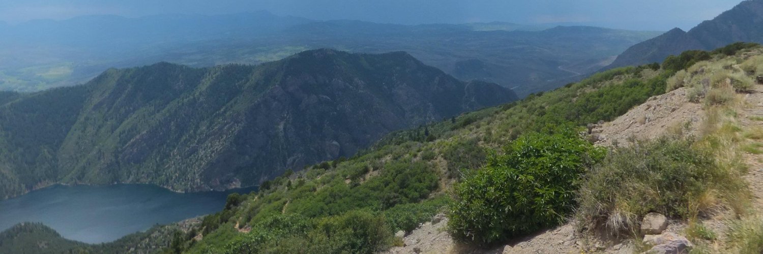 Frank Paul Mora banner