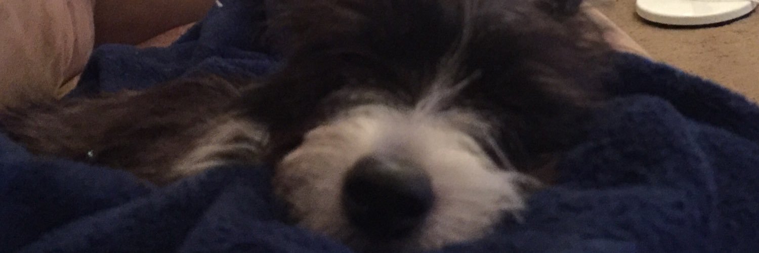 Ozzyrules5's profile banner image
