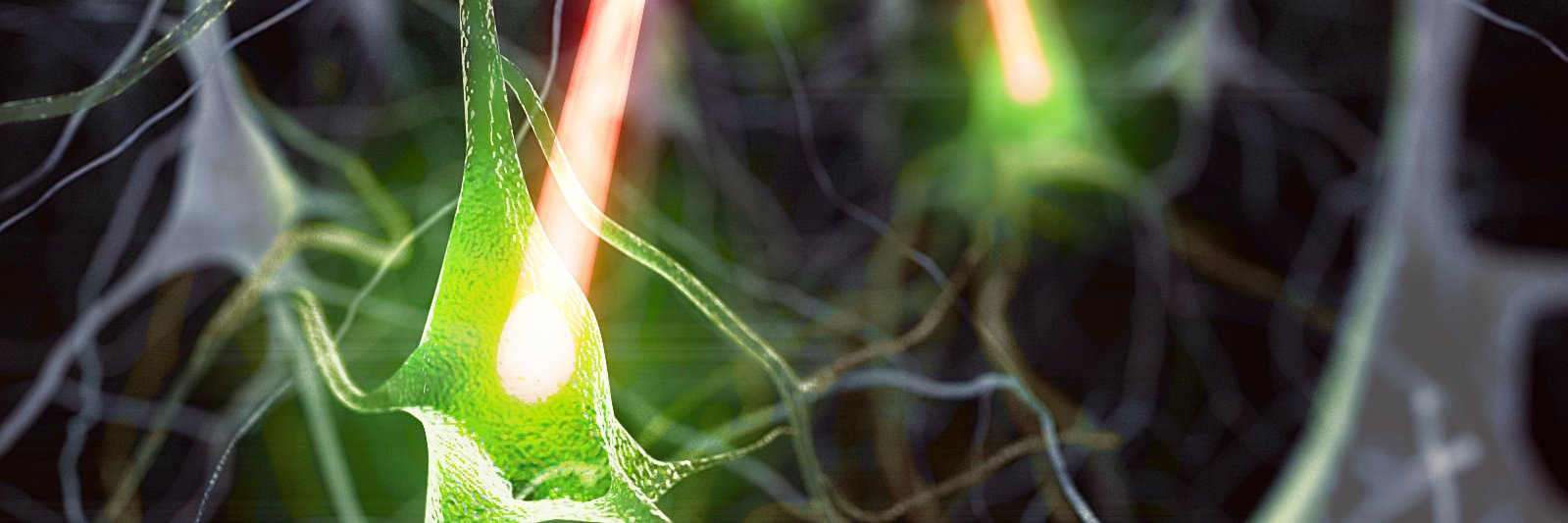 Neural Computation Lab banner