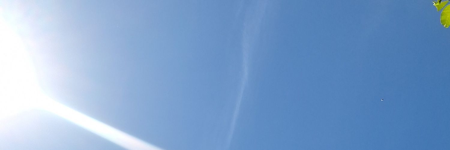 LucasC938226's profile banner image