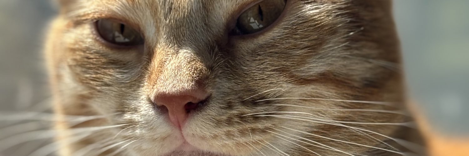 ahcxra's profile banner image