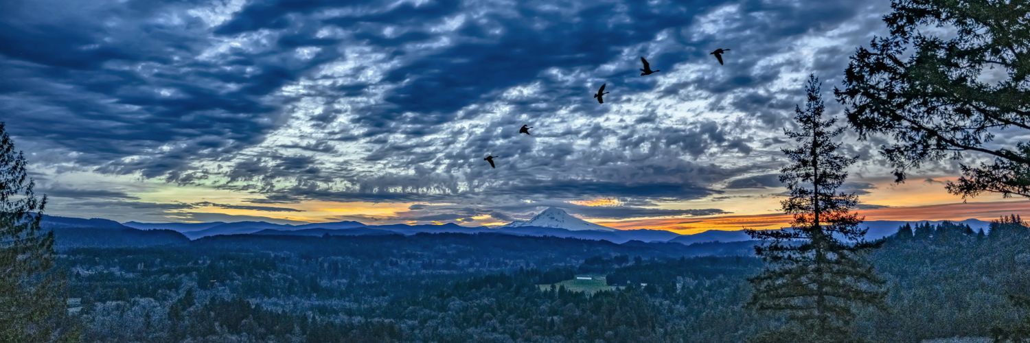 Intellectual Nebula Media banner