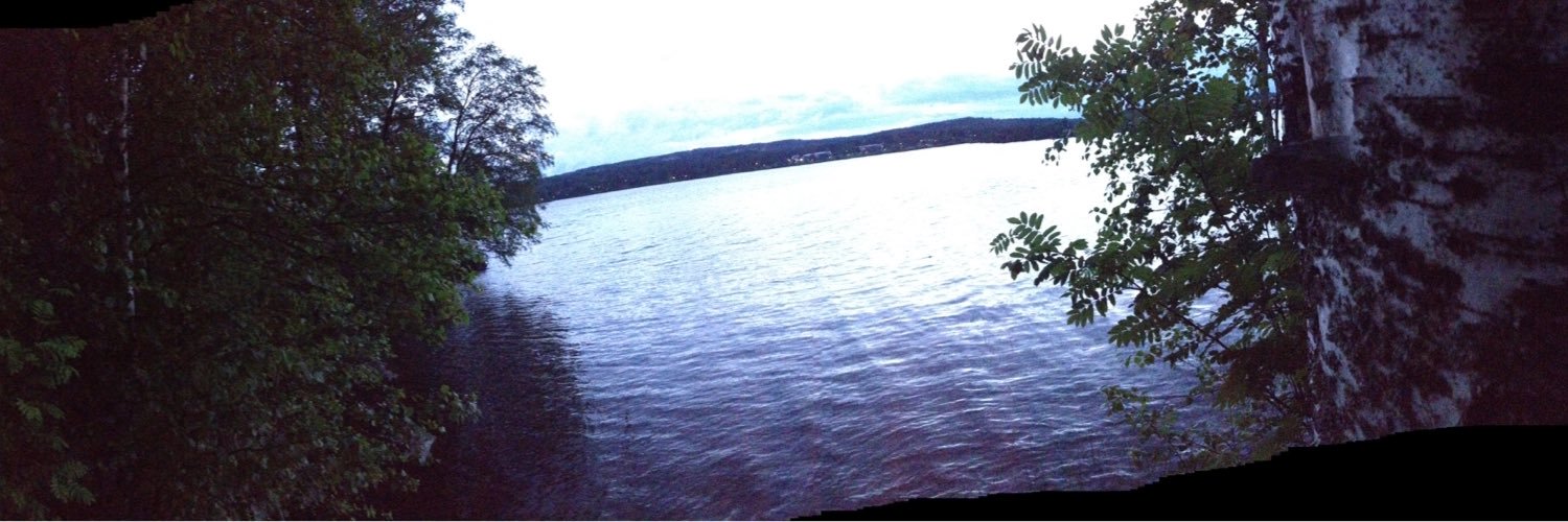 fLindgren97's profile banner image