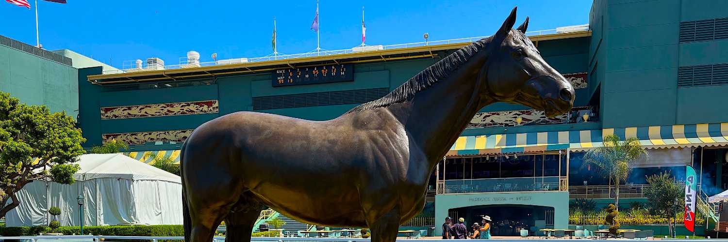 Bobby DeMuro banner