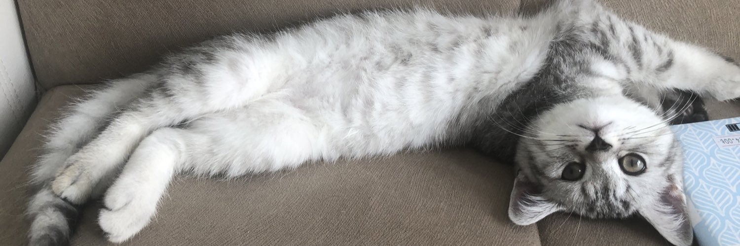 Hatice Bölek banner