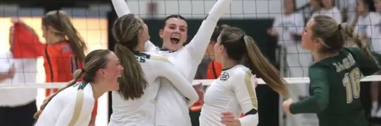 Natalie Stepanovich banner