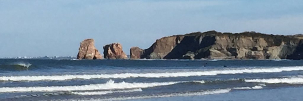 Ricardo Comin banner