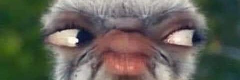 philly_phil85's profile banner image