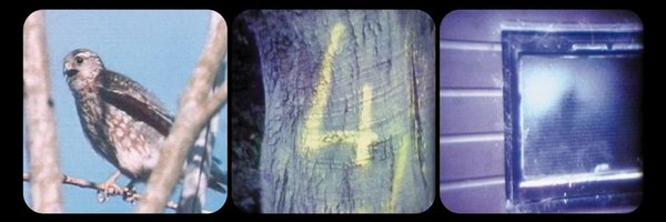 JodePalos Profile Banner