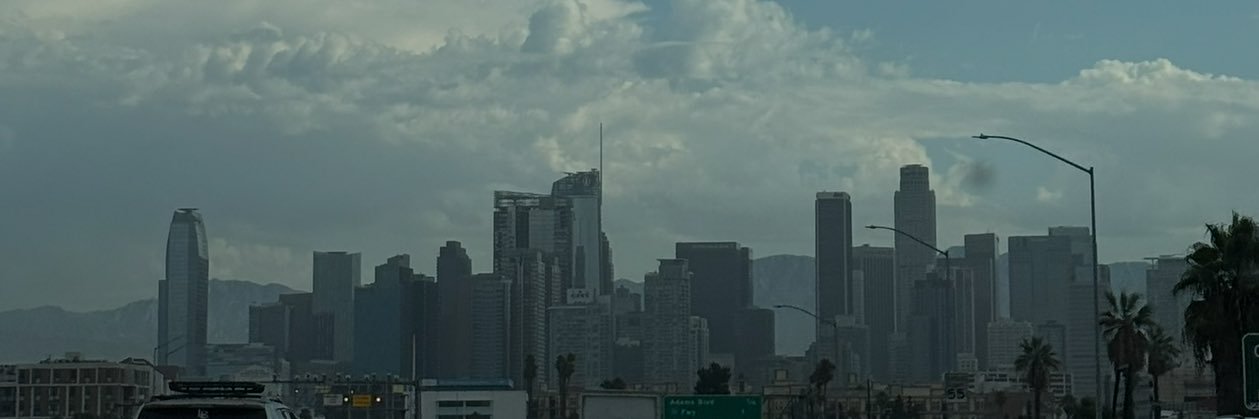 brianaluzz's profile banner image