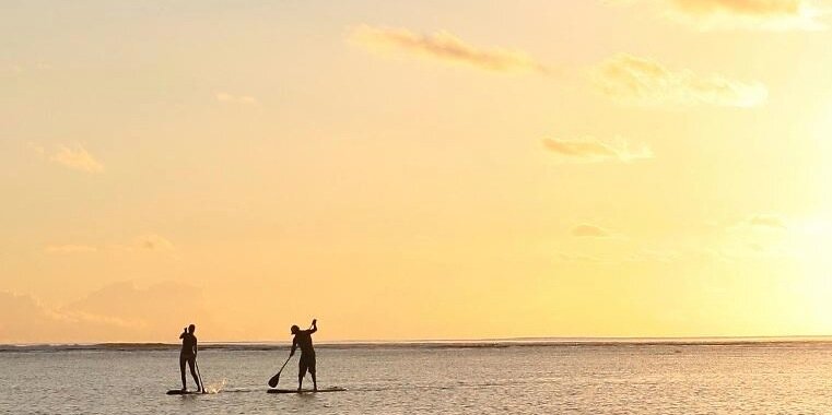 StaceysSurfCamp's profile banner image