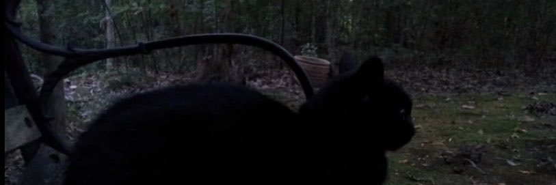 valntinenrem's profile banner image