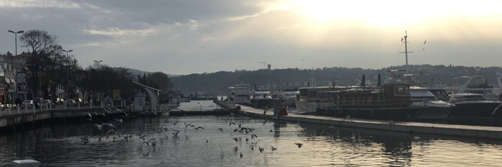 kbrakkce's profile banner image