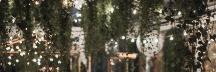 tidbitsfromme's profile banner image