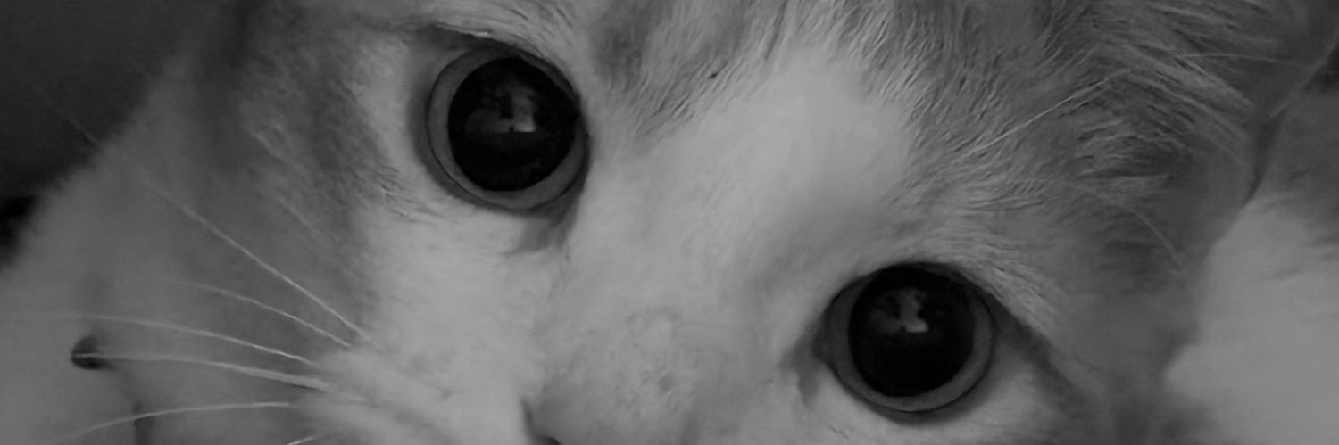 aunalysa_felix's profile banner image