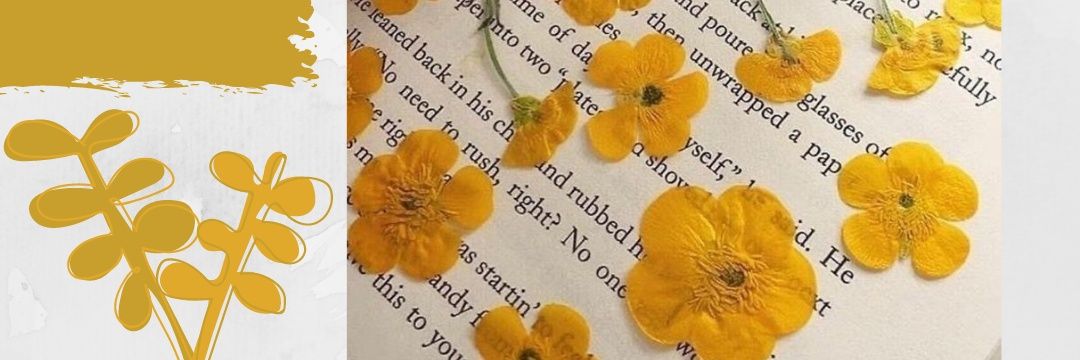 Alexis Goldstein ♡ banner