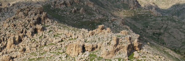 Alex_Whitcomb Profile Banner