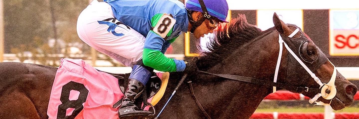 angel.cruzz01 banner