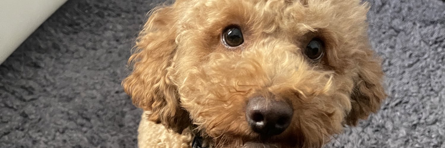 ethanwinzyg's profile banner image