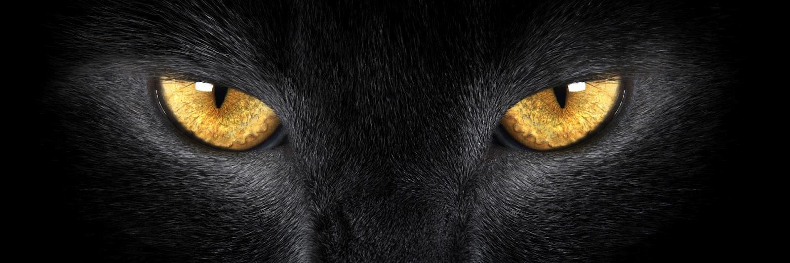 jufeletti's profile banner image