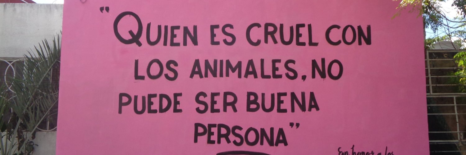 monicaRguzman's profile banner image