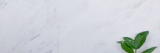 ซาจังนิม banner