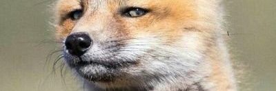 de_kenyanboy's profile banner image