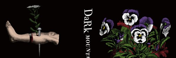 darkmtn Profile Banner
