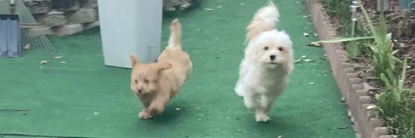 NotPatReilly Profile Banner