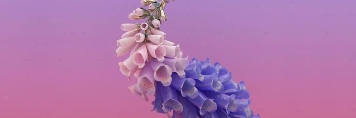 suchcoldhands's profile banner image