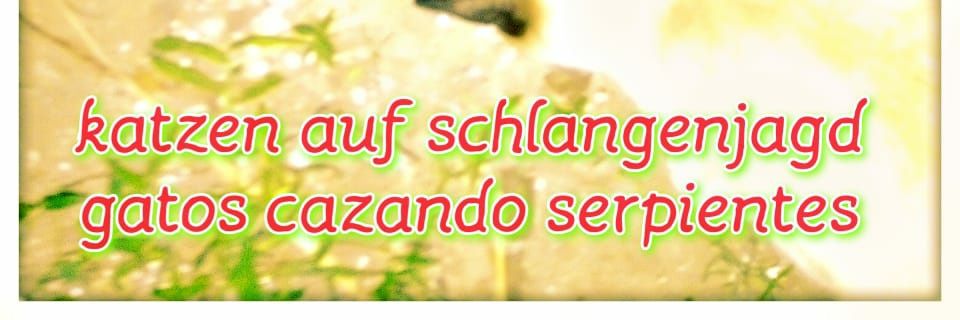 markssca_pi's profile banner image