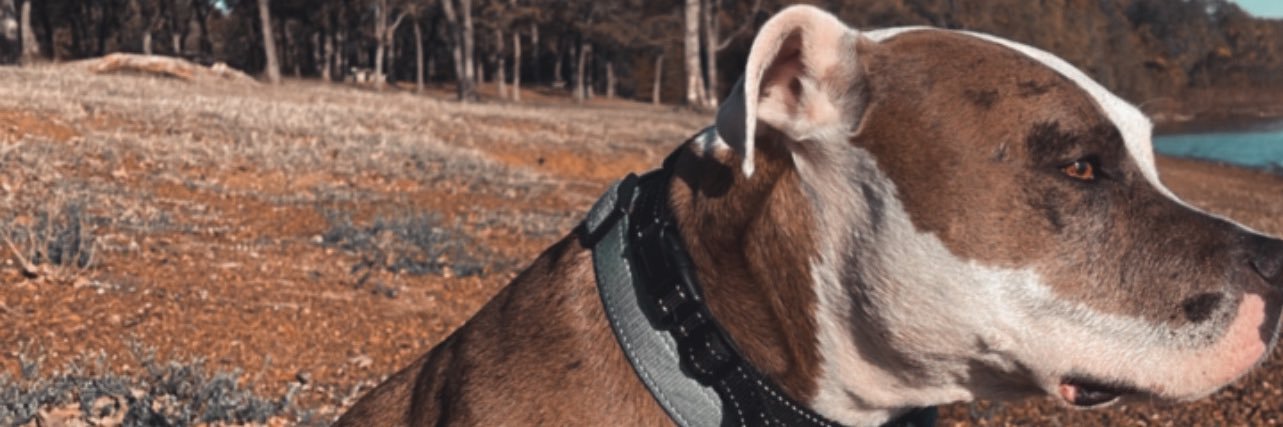 caiden_lynn's profile banner image