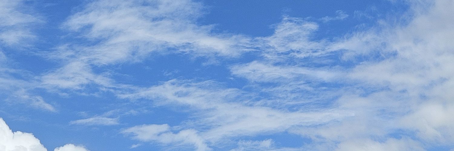 MFianu's profile banner image